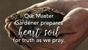 Cultivating a Spirit of Newness