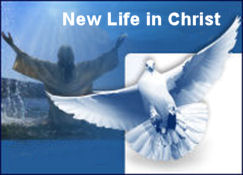Click Here