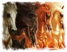 horeses of Revelation