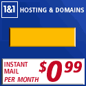 Domain & web hosting