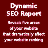 Dynamic SEO Report